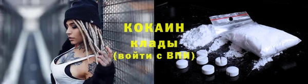 мдпв Киреевск