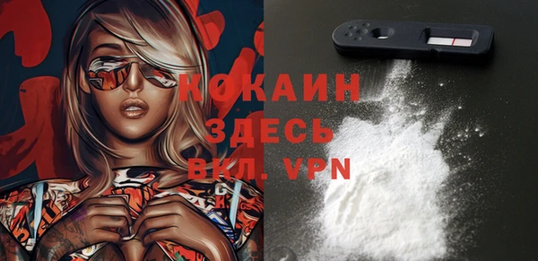 мдпв Киреевск
