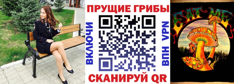 купить закладку Ядрин Галлюциногенные грибы Magic Shrooms